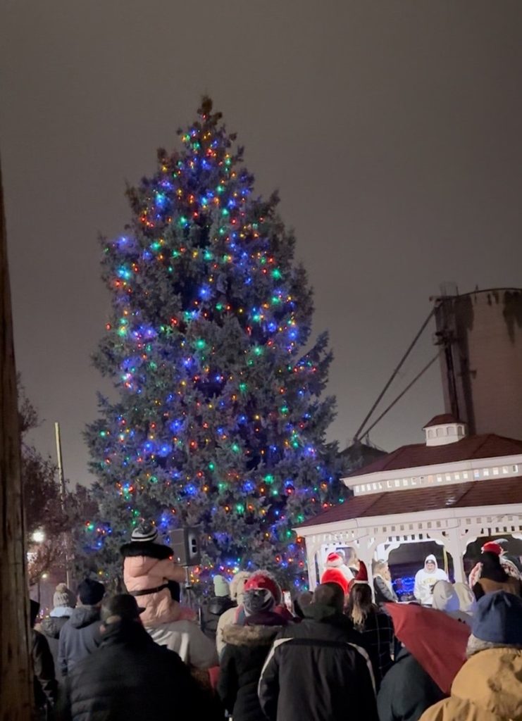 Downtown Christmas Tree